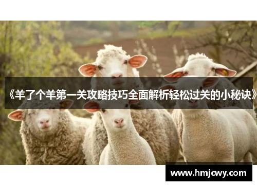 《羊了个羊第一关攻略技巧全面解析轻松过关的小秘诀》
