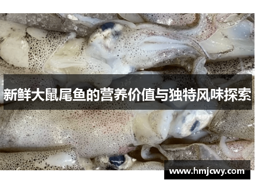 新鲜大鼠尾鱼的营养价值与独特风味探索
