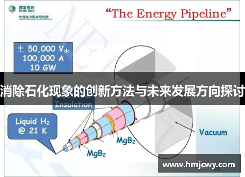 消除石化现象的创新方法与未来发展方向探讨