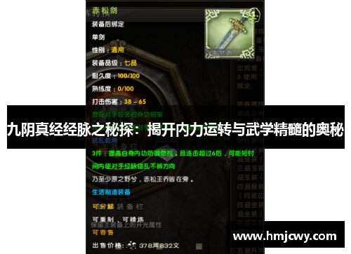 九阴真经经脉之秘探：揭开内力运转与武学精髓的奥秘